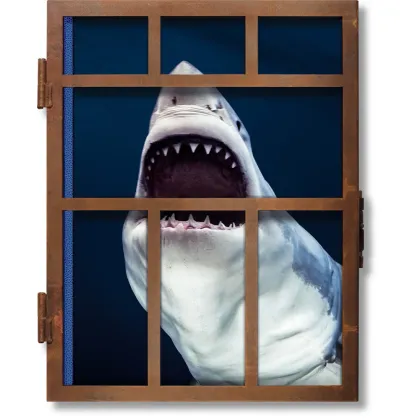 Zdjęcie Książka Michael Muller. Sharks - Taschen
