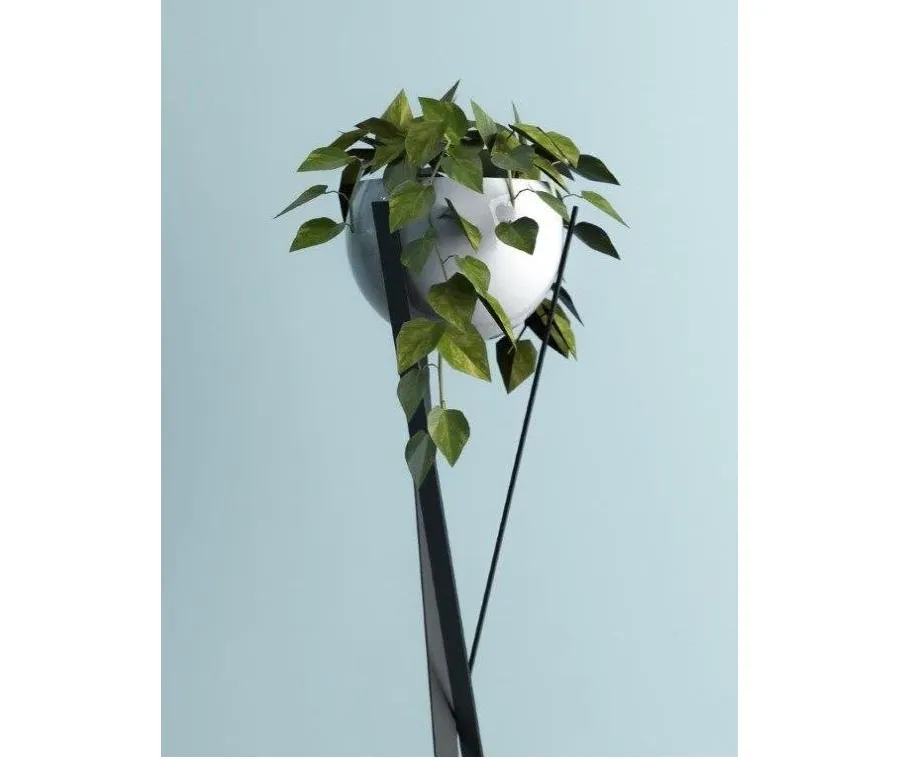 obrazek 4 Elegancki stojak Protea z doniczką