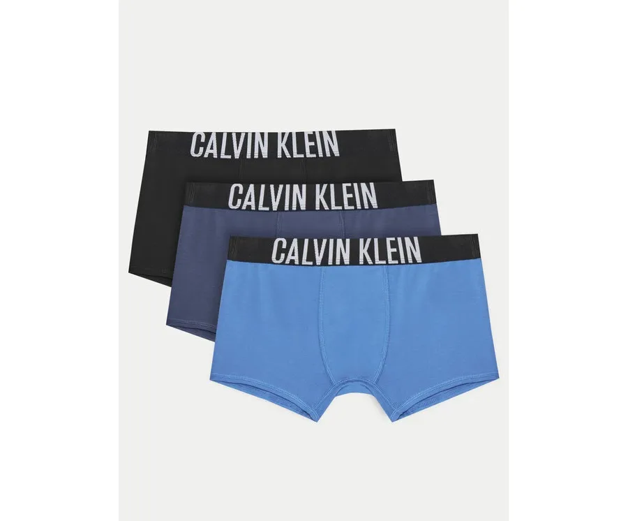 obrazek 1 Calvin Klein Underwear Komplet 3 par bokserek B70B700510 Kolorowy