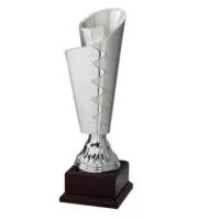 Picture A unique sports trophy