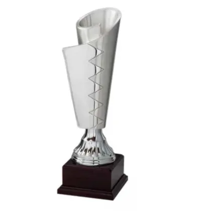 Zdjęcie Unikatowe trofeum sportowe
