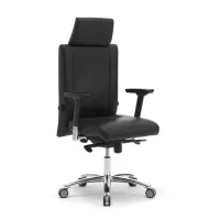 Picture Exclusive office chair from an Italian manufacturer