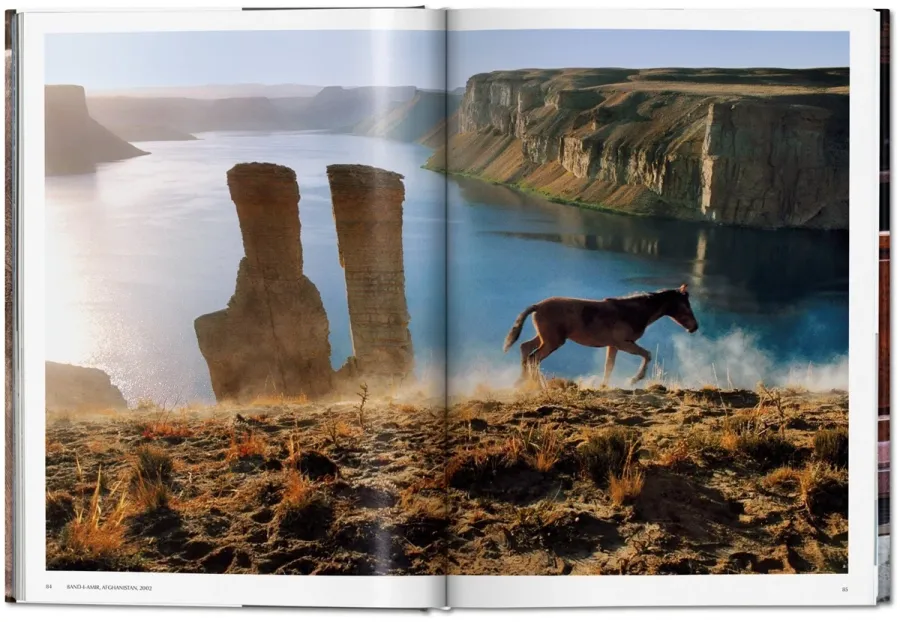 obrazek 4 Książka Steve McCurry. Zwierzęta - Taschen