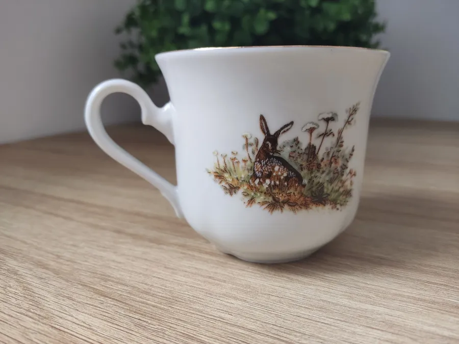 obrazek 4 Stylowa filiżanka do herbaty ze spodkiem z porcelany zdobiona losowym motywem myśliwskim – Leander