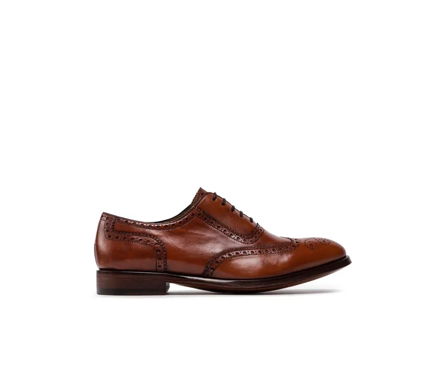 obrazek 1 Lord Premium Półbuty Brogues 5501 Brązowy