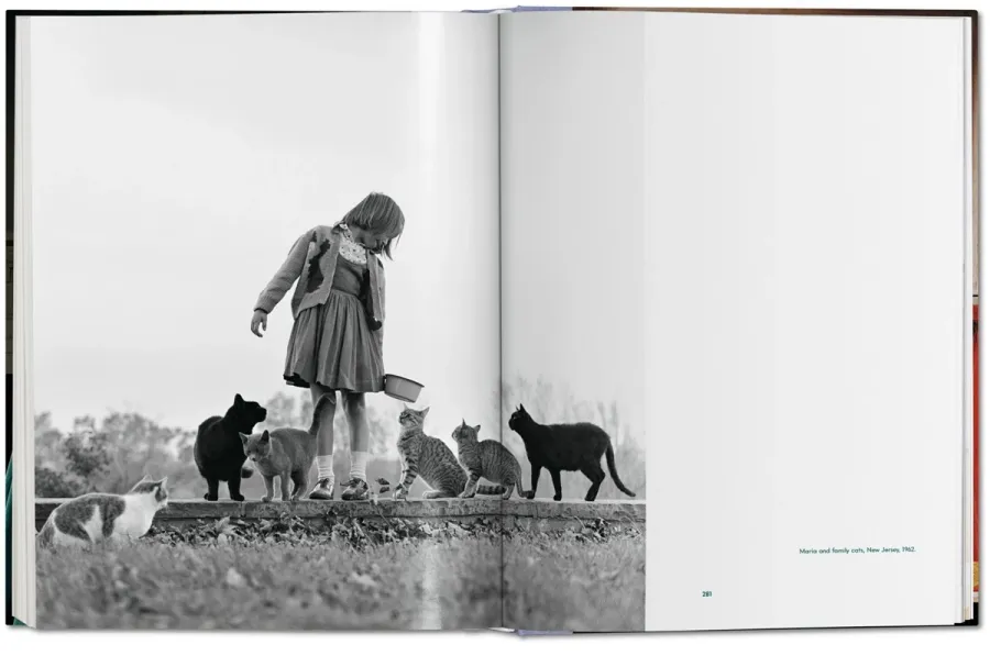 obrazek 9 Książka Walter Chandoha. Cats. Photographs 1942–2018 - Taschen