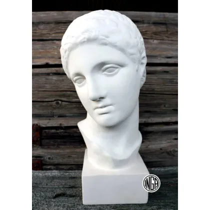 Zdjęcie Wyjątkowa rzeźba gipsowa Busto Discobolo