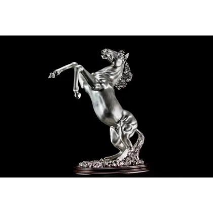 Zdjęcie Fantastyczna figura ogiera