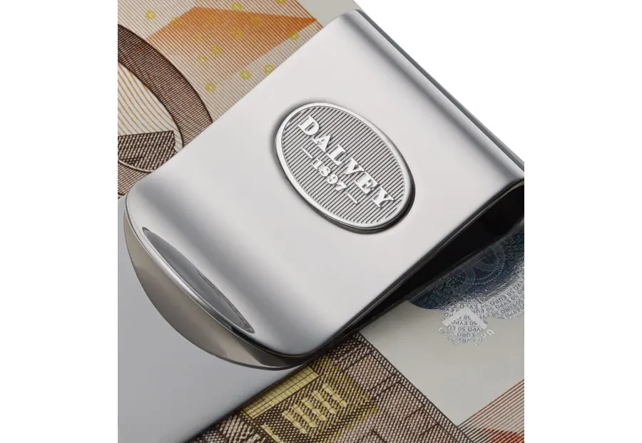 obrazek 2 Piękny klips na banknoty