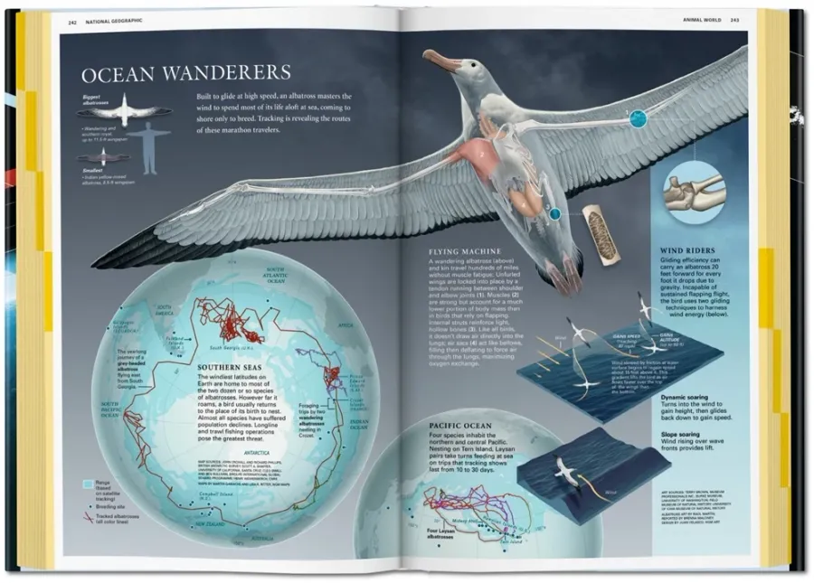 obrazek 6 Książka National Geographic Infographics - Taschen