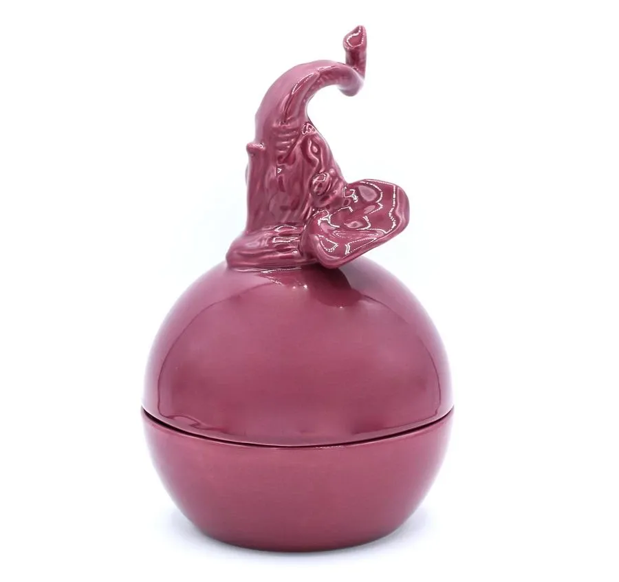 obrazek 1 Oryginalny pojemnik ceramiczny Tyke