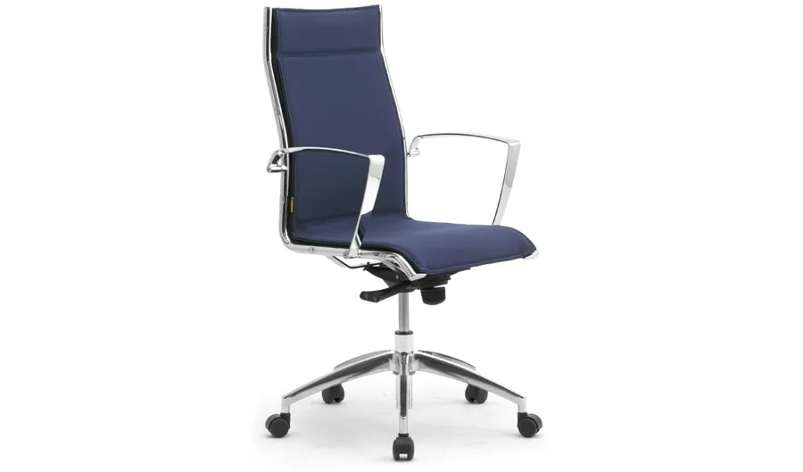 picture 6 Luxurious modernist armchair for office and office