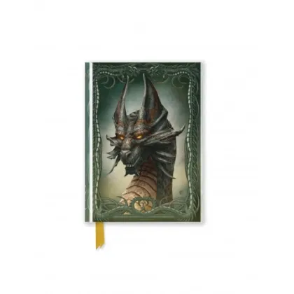 Zdjęcie Dziennik kieszonkowy (Beyit: Czarny smok) - Flame Tree Publishing
