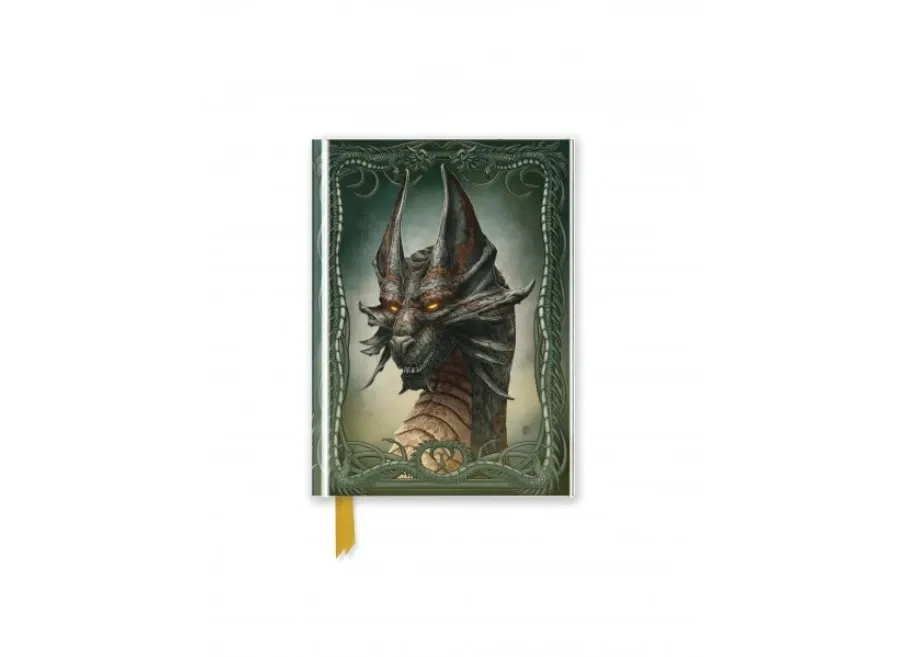 obrazek 1 Dziennik kieszonkowy (Beyit: Czarny smok) - Flame Tree Publishing