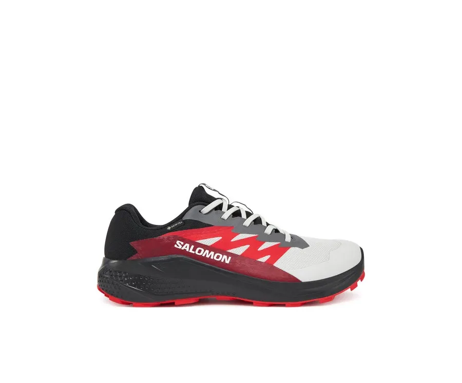 obrazek 1 Salomon Buty do biegania Alphaglide Gore-Tex L47802200 Szary