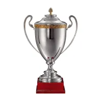 Picture Luxury sports trophy from Italy - cup
