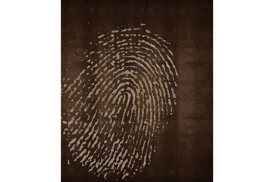 obrazek 3 Stylowy dywan Fingerprint w 6 wariantach kolorystycznych