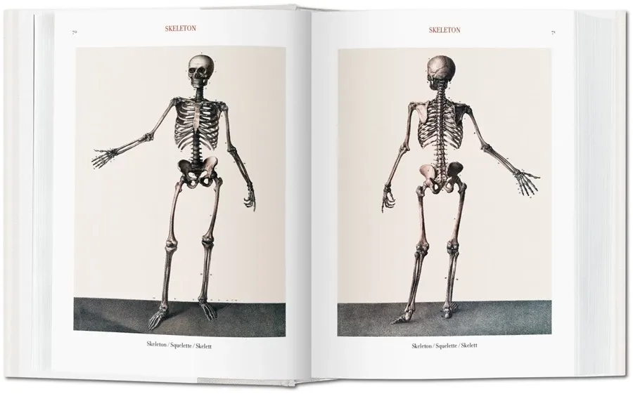 obrazek 7 Książka Jean Marc Bourgery. Atlas anatomii i chirurgii człowieka - Taschen