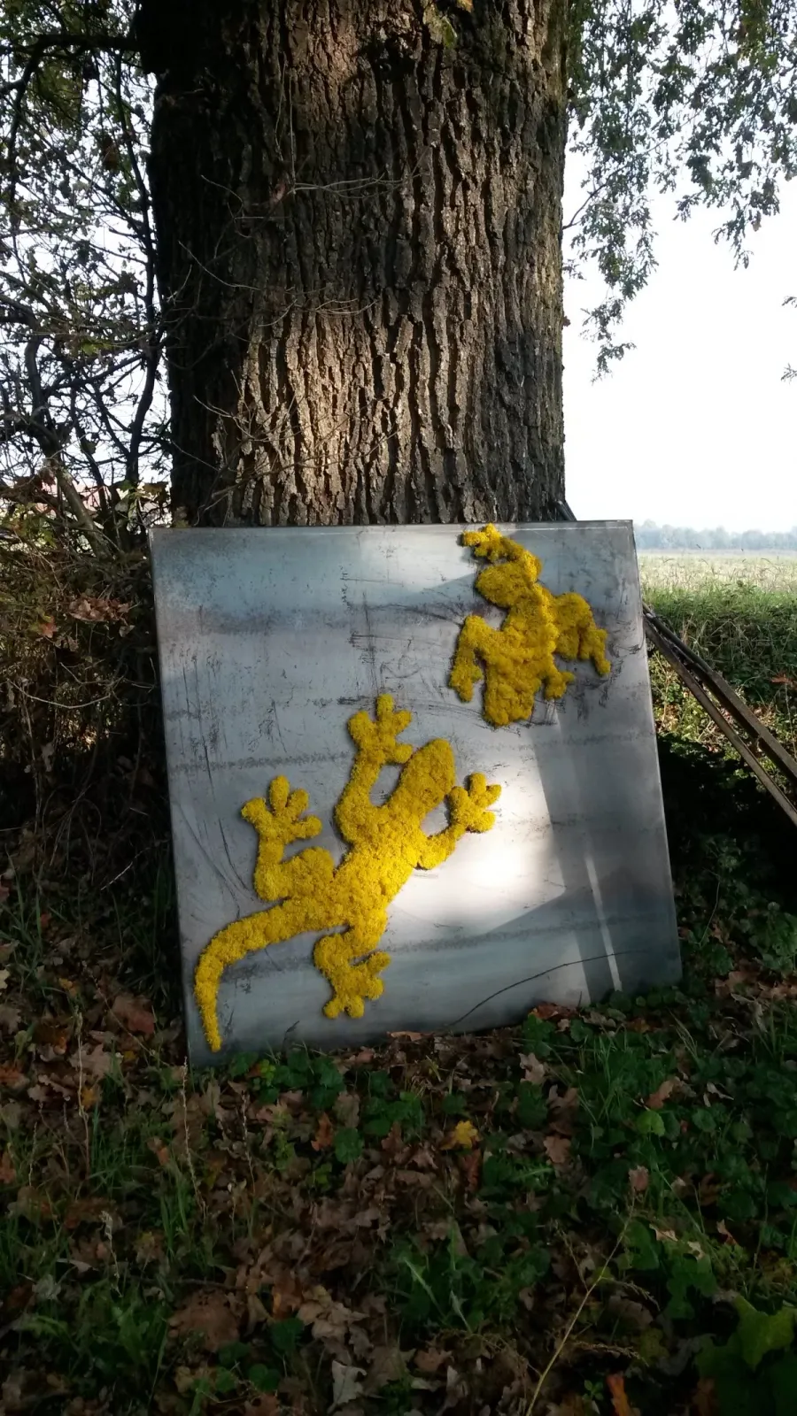 obrazek 11 Obraz z ustabilizowanej zieleni z motywem jaszczurki i żaby – Geko-Rana