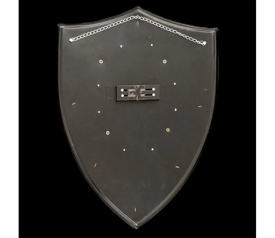 obrazek 4 Historyczna replika tarczy krzyżowców