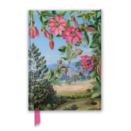Zdjęcie Piękny szkicownik (Kew Gardens: Liście i kwiaty Marianne North) - Flame Tree Publishing