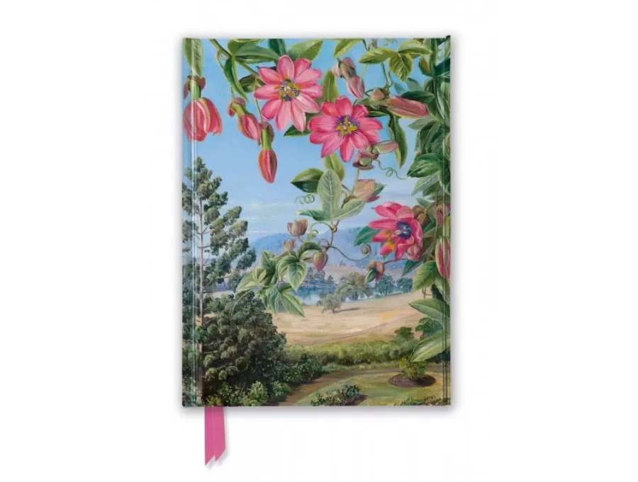 obrazek 1 Piękny szkicownik (Kew Gardens: Liście i kwiaty Marianne North) - Flame Tree Publishing