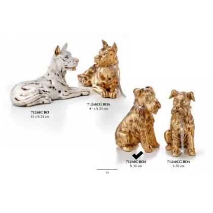 Picture Schnauzer with collar - Valle d'oro Patchi