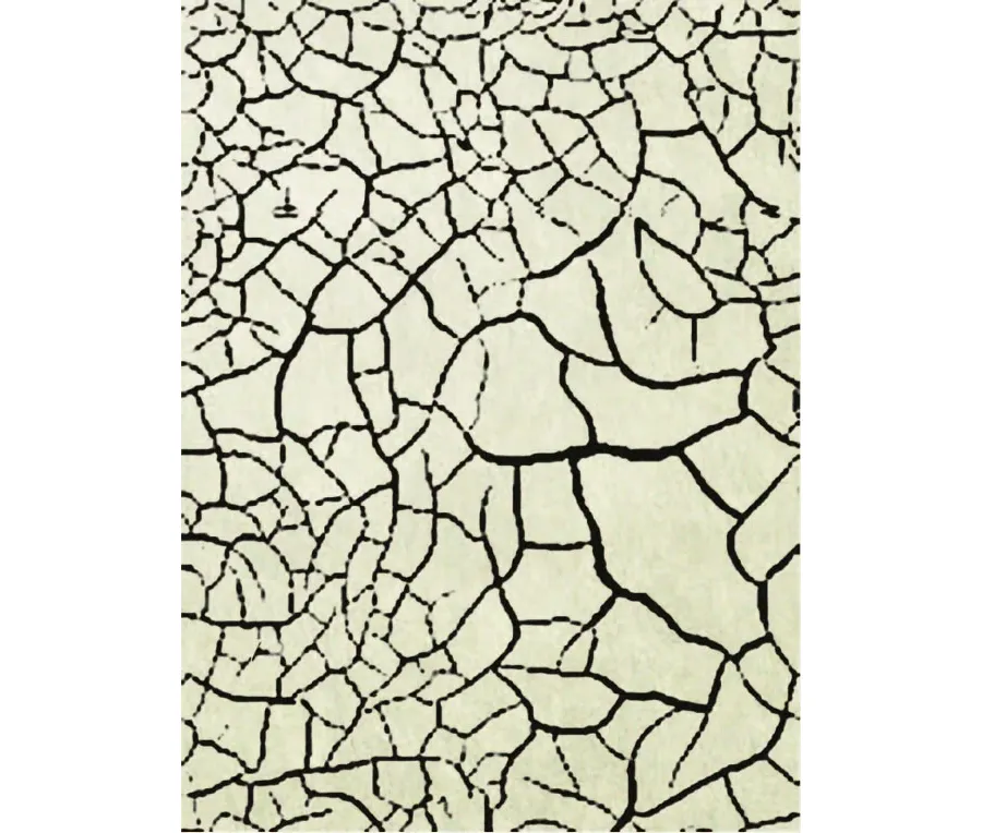 obrazek 1 Designerski włoski dywan z wełny - Sartori Rugs