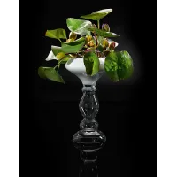 Picture A large glass vase with lotus flowers by VG