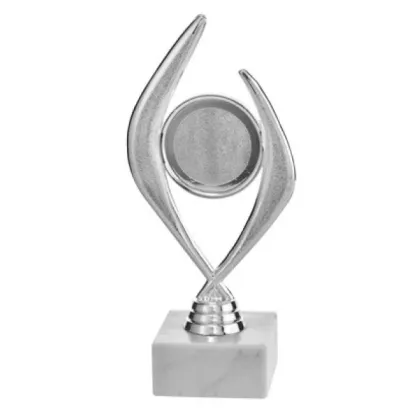 Zdjęcie Trofeum dla zwycięskiej drużyny