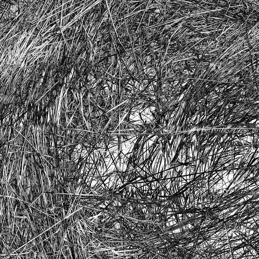obrazek 3 Donikąd grafika 71,2 x 111,8 cm