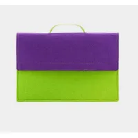 Picture Felt document folder fastened with snaps