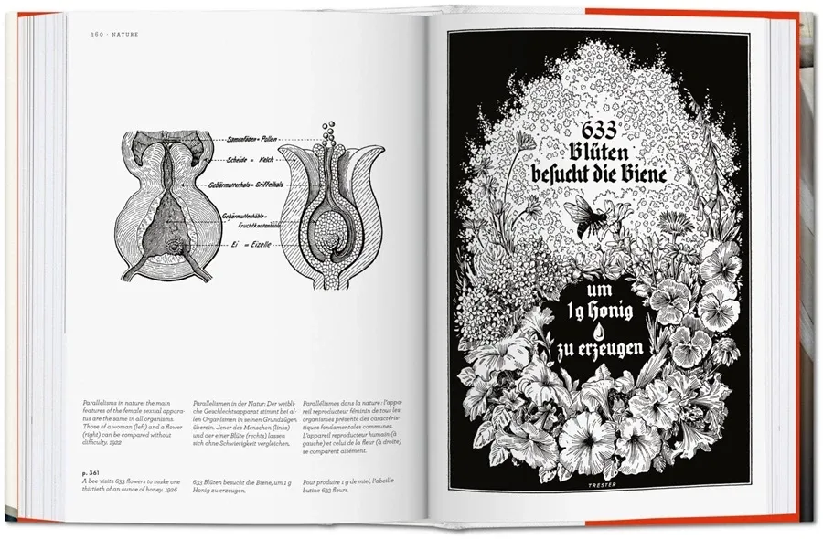 obrazek 7 Książka Fritz Kahn. Infographics Pioneer - Taschen