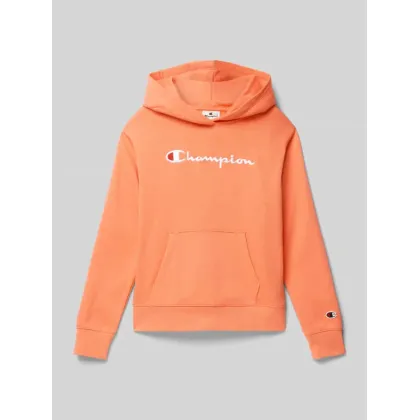 Zdjęcie Bluza z kapturem z wyhaftowanym logo