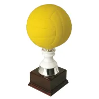 Zdjęcie Puchar na mecz siatkarski