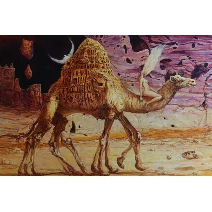 Picture Krzysztof Krawiec