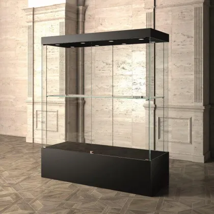 Picture Beautiful, stylish, large museum display case