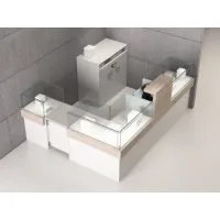 Picture Exclusive shop fittings – display windows and counters