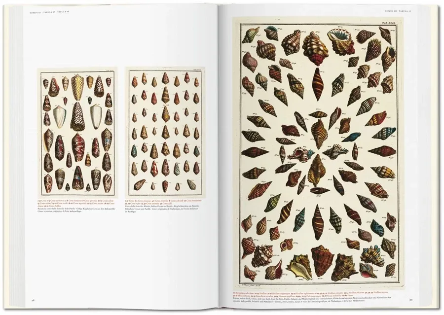 obrazek 12 Książka Albertus Seba. Cabinet of Natural Curiosities - Taschen