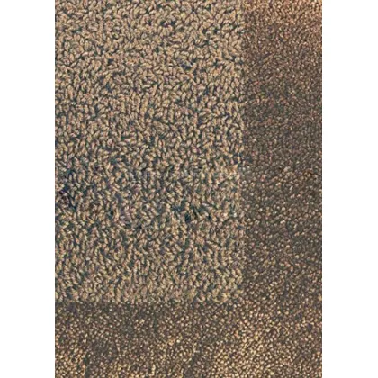 Picture Luxurious brown smooth carpet - TWINSET BORDER IN CUT PILE 21205