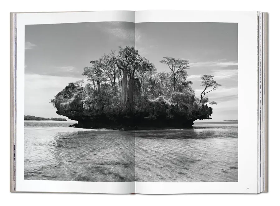 obrazek 12 Książka Sebastião Salgado. GENESIS - Taschen