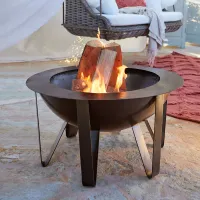 Zdjęcie Palenisko Lovis