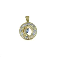 Picture Prestigious Marian medallion 20x25 mm.