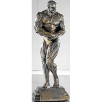 Picture A stylish statuette for the winner of the bodybuilding competition - Erre Emme