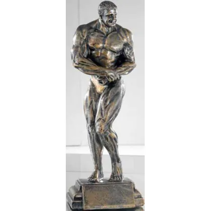 Zdjęcie Stylowa statuetka dla zwycięzcy zawodów kulturystycznych – Erre Emme