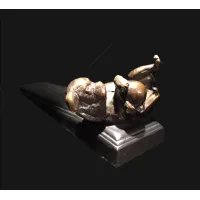 Zdjęcie Wyjątkowa podpórka do drzwi - pies z piłką