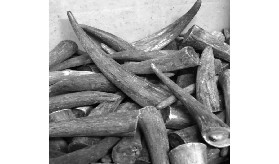 obrazek 2 Nietypowy nóż sprężynowy o zakrzywionym profilu od Berti Knives