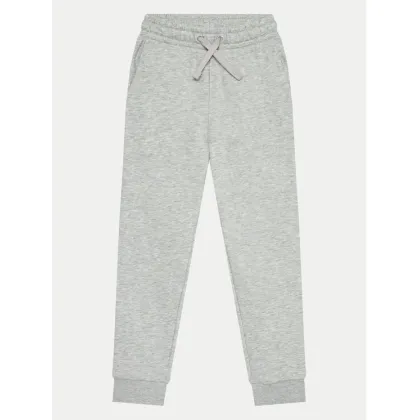 Zdjęcie 4F Spodnie dresowe 4FJWMM00TTROF0828 Szary Regular Fit