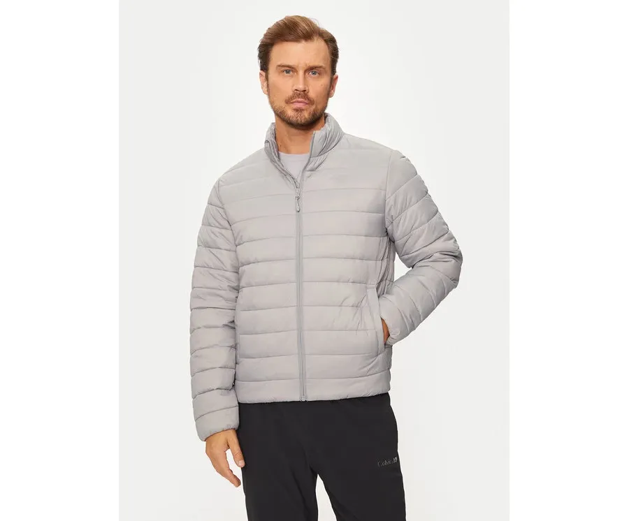 obrazek 1 4F Kurtka zimowa 4FWAW24TDJAM483 Szary Regular Fit