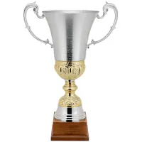 Zdjęcie Przepiękny puchar sportowy